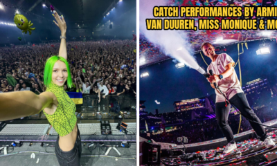 PINKFISH 2024 FEATURE