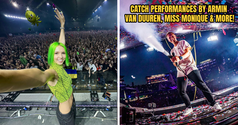 PINKFISH 2024 FEATURE