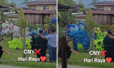 feat image lion dance raya