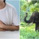 man diarrhoea elephant attack