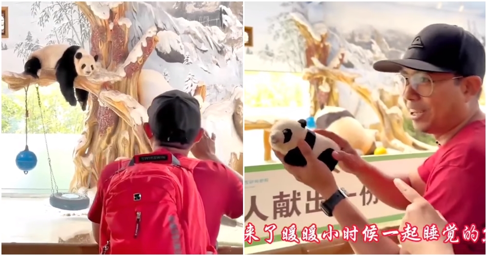 panda caretaker nuan nuan