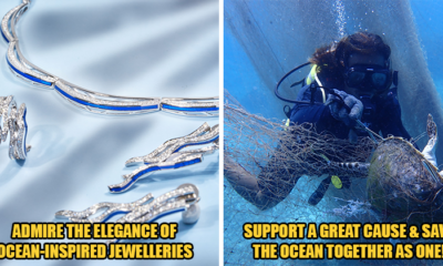 Diamond Platinum ft img 3