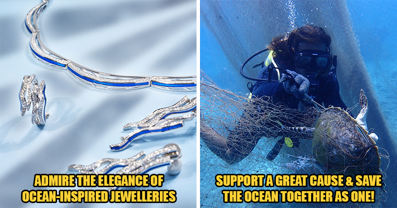 Diamond Platinum ft img 3