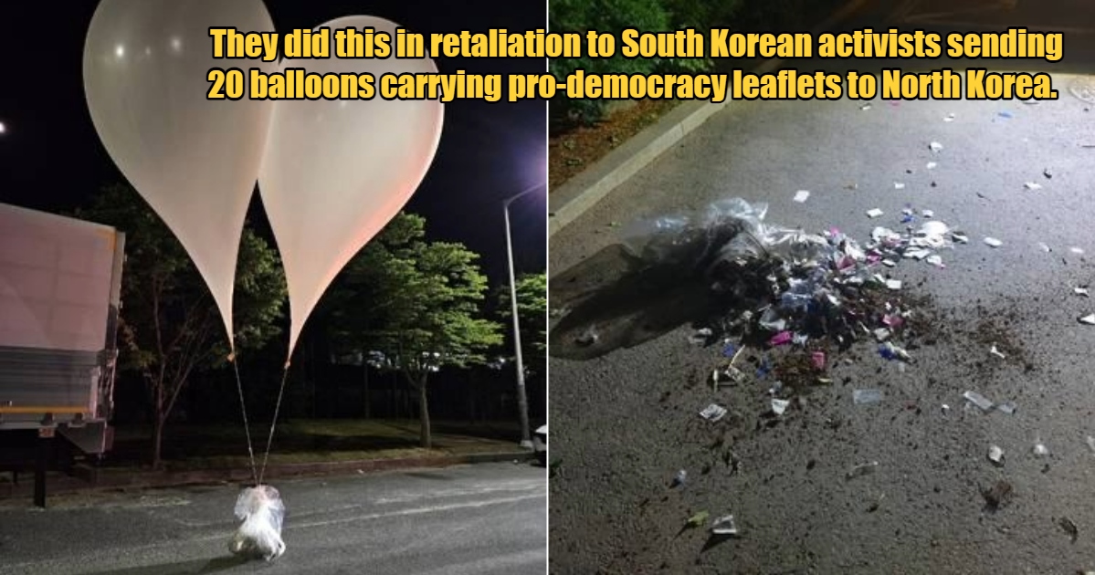 My Post 1 2024 05 30T155438.044