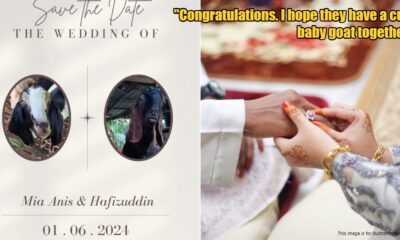 My Post 1 2024 05 31T164242.307 1