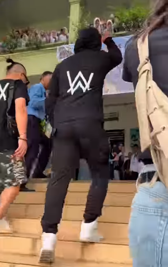 Alan Walker 4