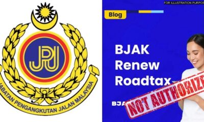 feat image bjak not so smart