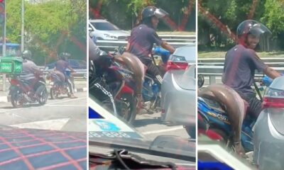 feat image massive fish catch