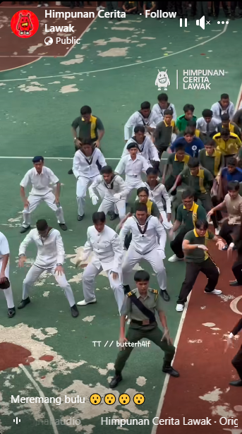 Haka 6