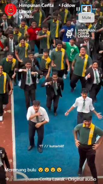Haka 7
