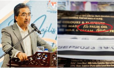 no palm oil ice cream fine