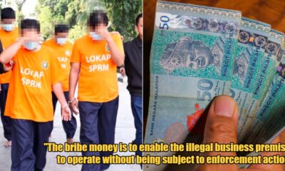 My Post 1 2024 06 10T114500.281