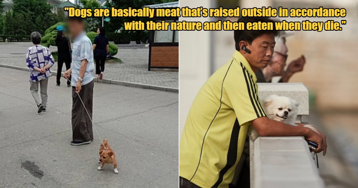 My Post 1 2024 06 11T120805.098