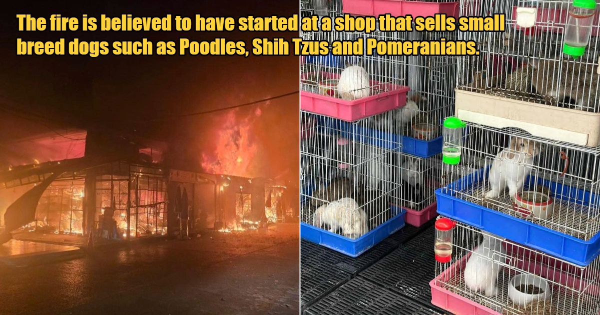 My Post 1 2024 06 12T104018.565