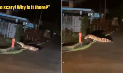 My Post 1 2024 06 20T144837.546