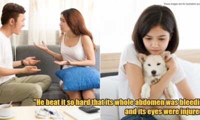 My Post 1 2024 06 25T174127.932