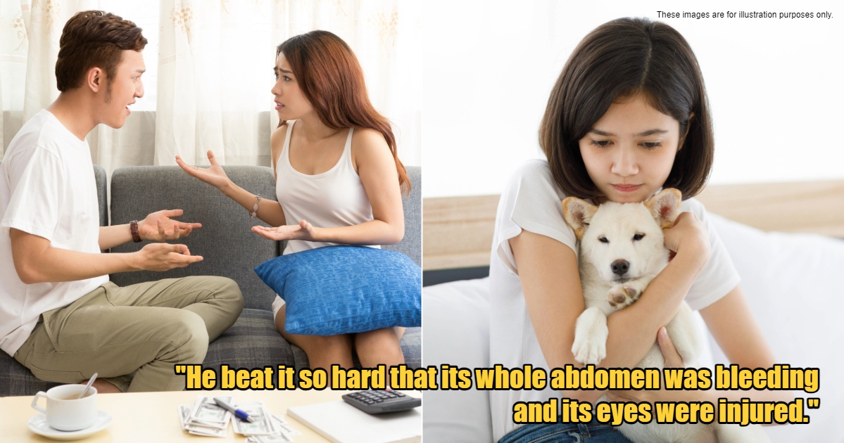 My Post 1 2024 06 25T174127.932