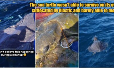 collage 2024 06 19T085653.495