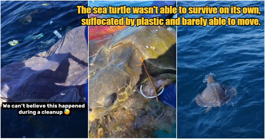 collage 2024 06 19T085653.495