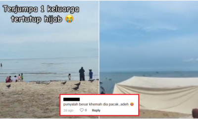 collage1212121212121