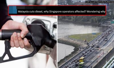 feat image singapore subsidy