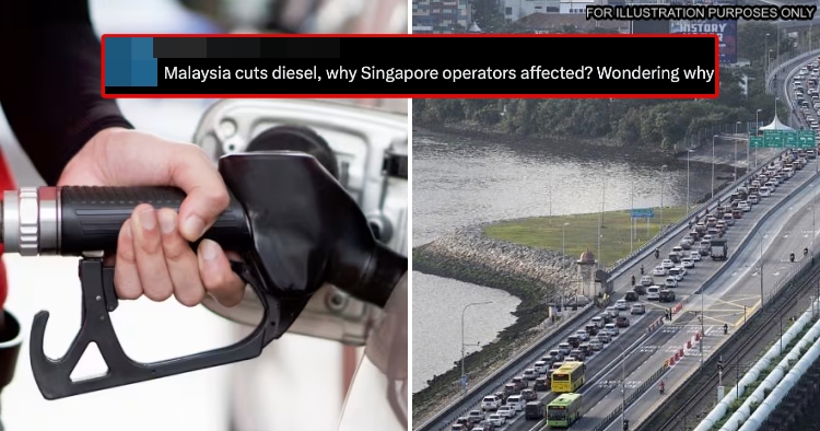 feat image singapore subsidy