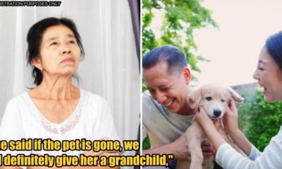 feat image ultimatum