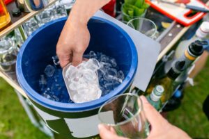 108091309 L Normal None