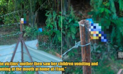 My Post 1 2024 07 09T155647.830