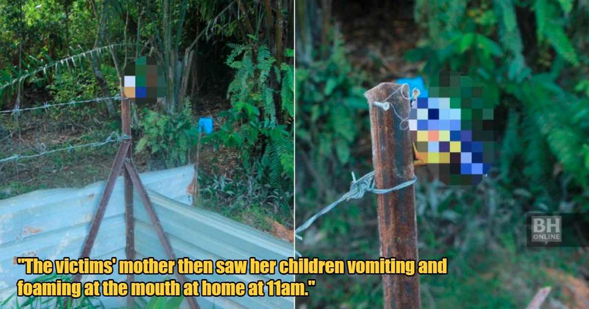 My Post 1 2024 07 09T155647.830