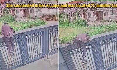 My Post 1 2024 07 11T175240.048