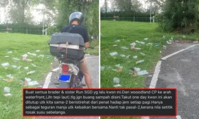 feat image msian trash spore