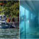 lrt in tioman waters