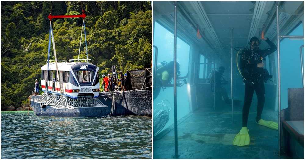 lrt in tioman waters
