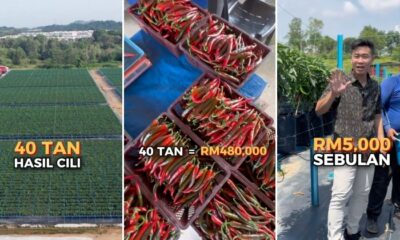 feat image cili putrajaya