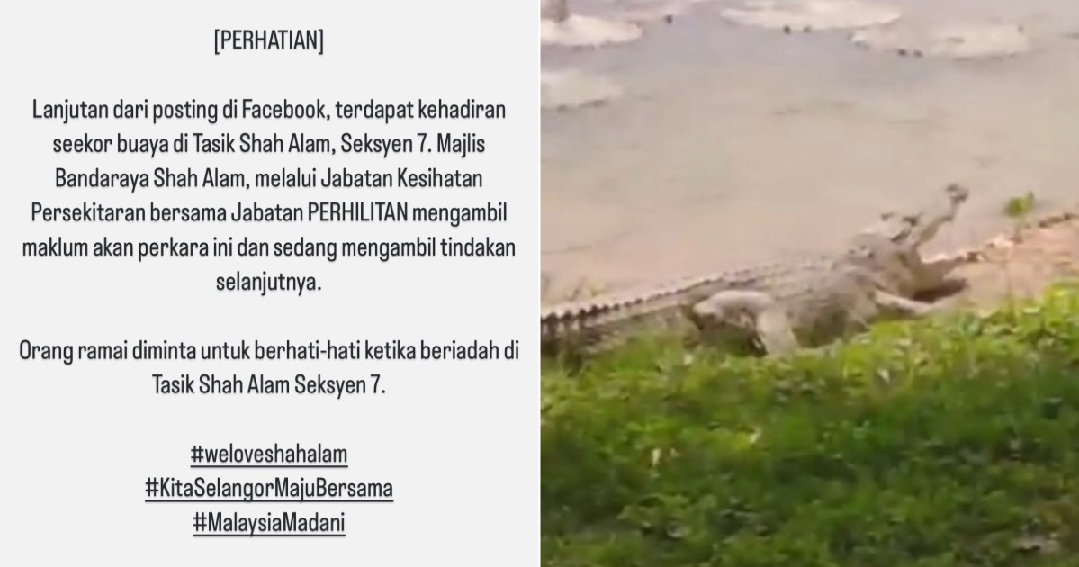 My Post 1 2024 09 03T113732.854