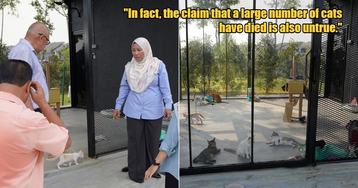 My Post 1 2024 09 03T125447.237 1