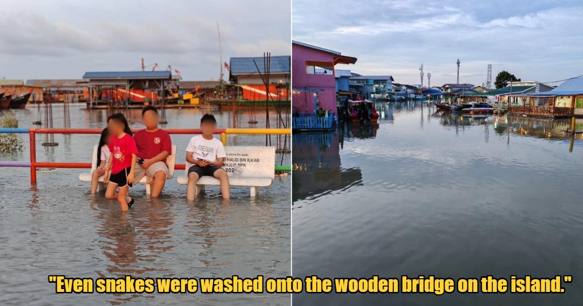 My Post 1 2024 09 20T135104.311