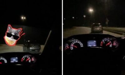 feat image lights car