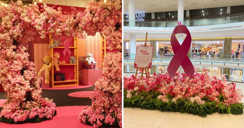 WOB announcement pavi pinktober