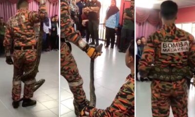 feat image bomba snek