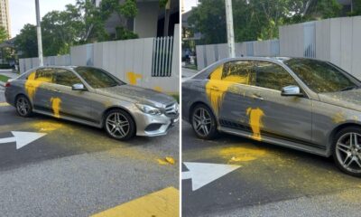 feat image merc paint