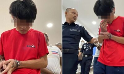 feat image pleads not guilty