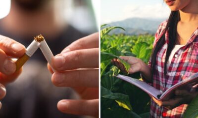 WOB PMI announcement feat