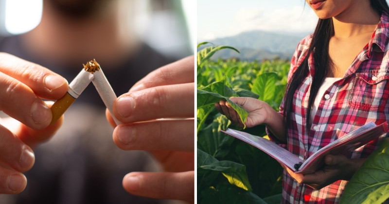 WOB PMI announcement feat