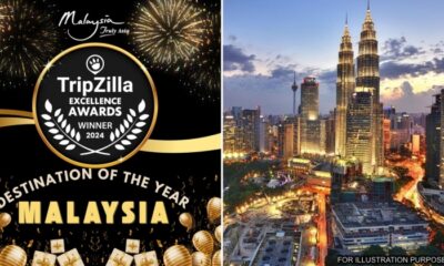 feat image tripzilla