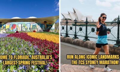 CIT TRAVEL FEATURE 2