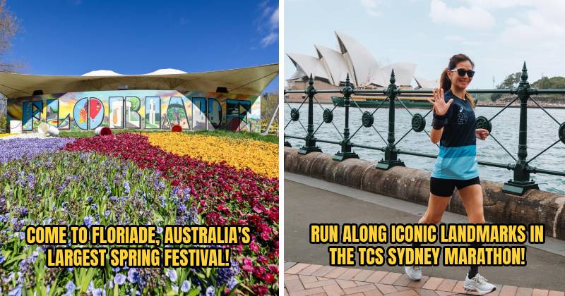 CIT TRAVEL FEATURE 2