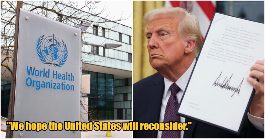 collage 2025 01 22T145111.051