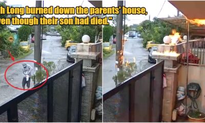 collage 2025 01 23T111118.890